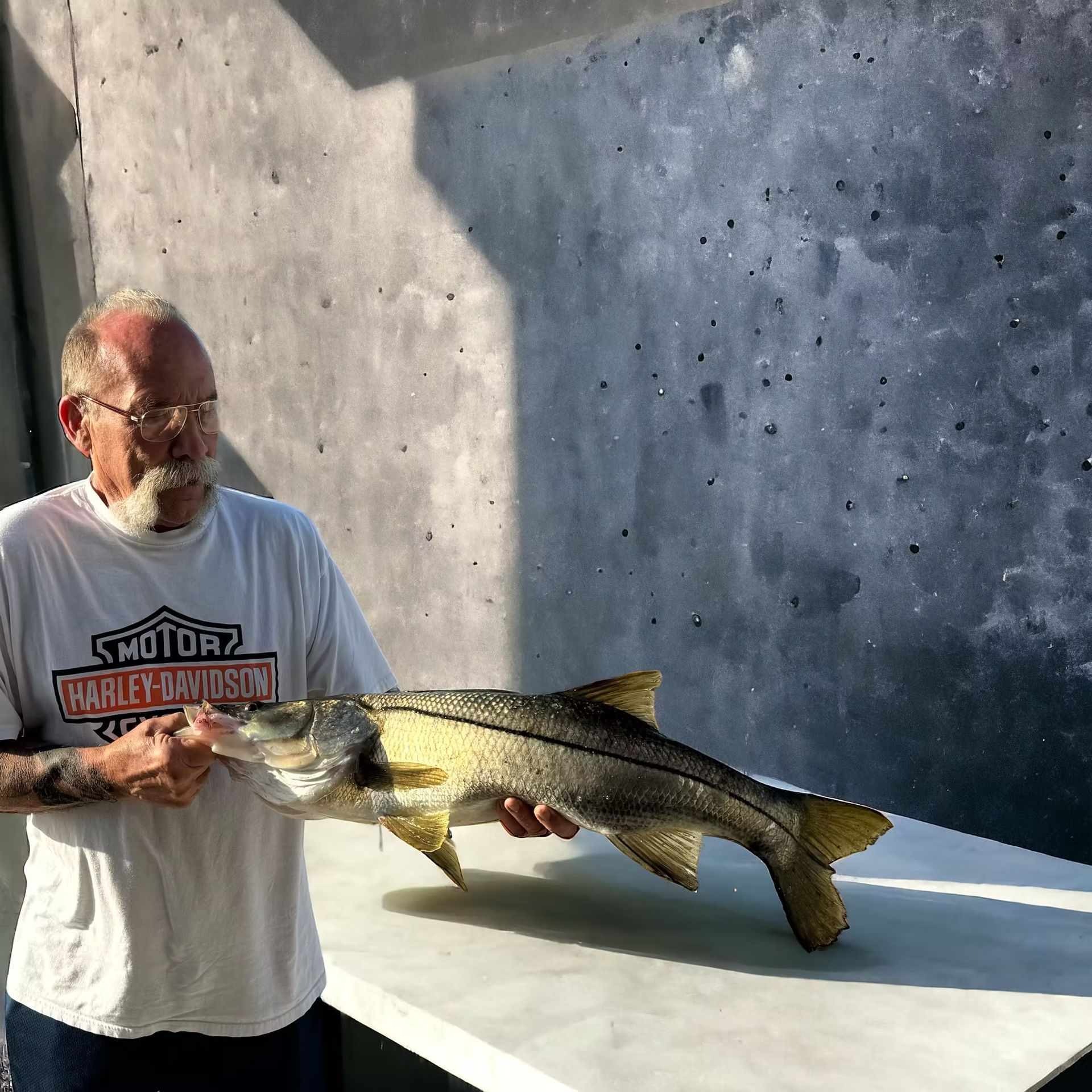 Man holding large fish, standing against a gray wall. He wears a Harley Davidson t-shirt, glasses.