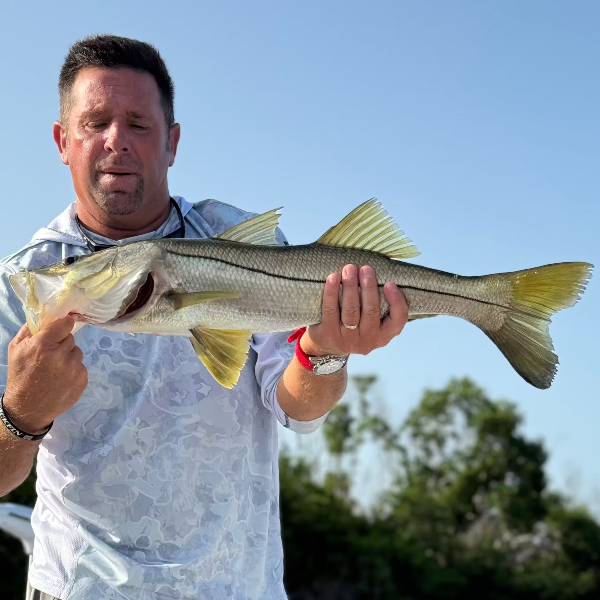 Man holding a snook fish, pointing at its mouth. Outdoors, sunny.