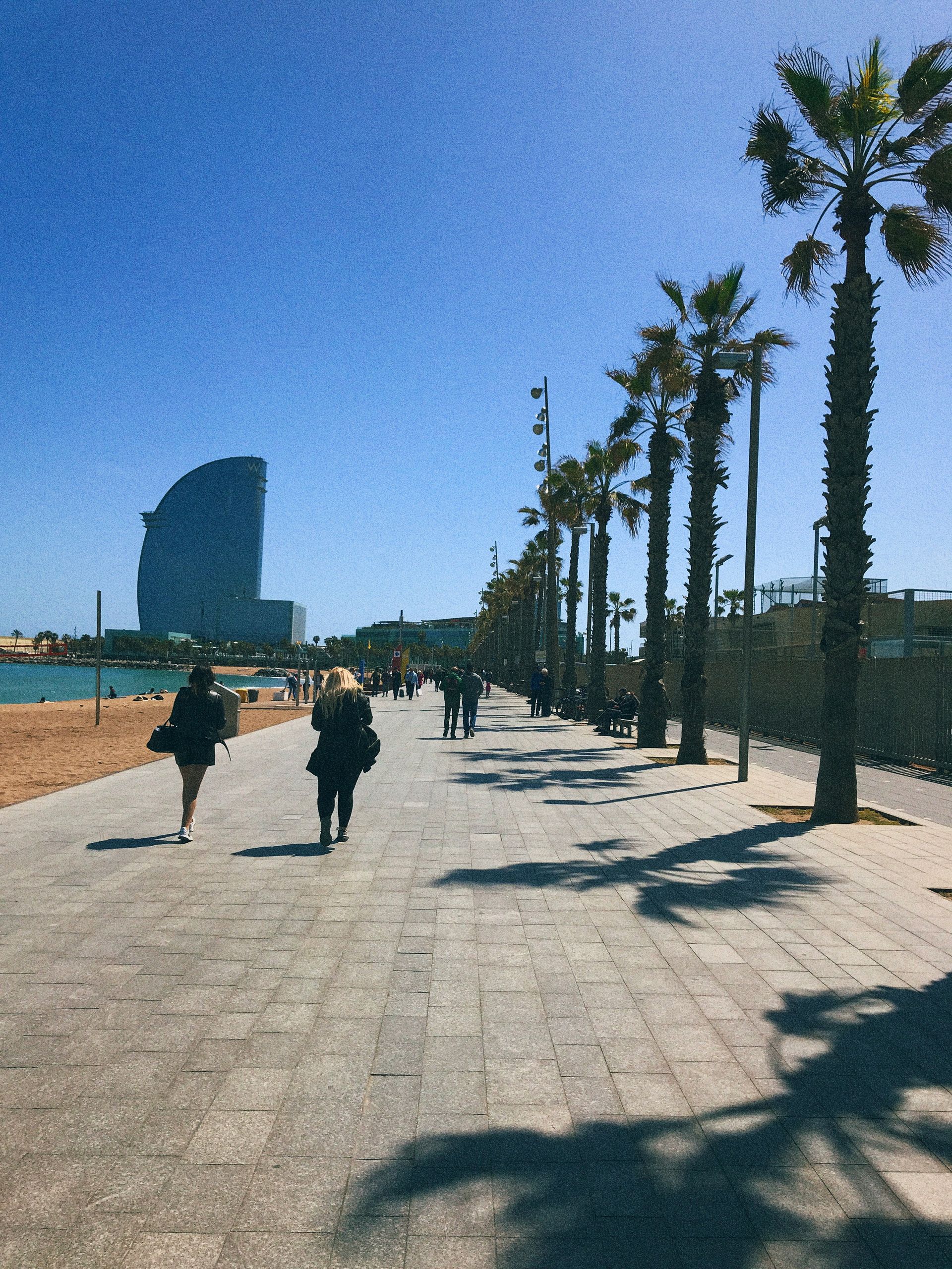 Mensen wandelen op een boulevard met palmbomen, een modern gebouw en het strand in Barcelona op een zonnige dag.