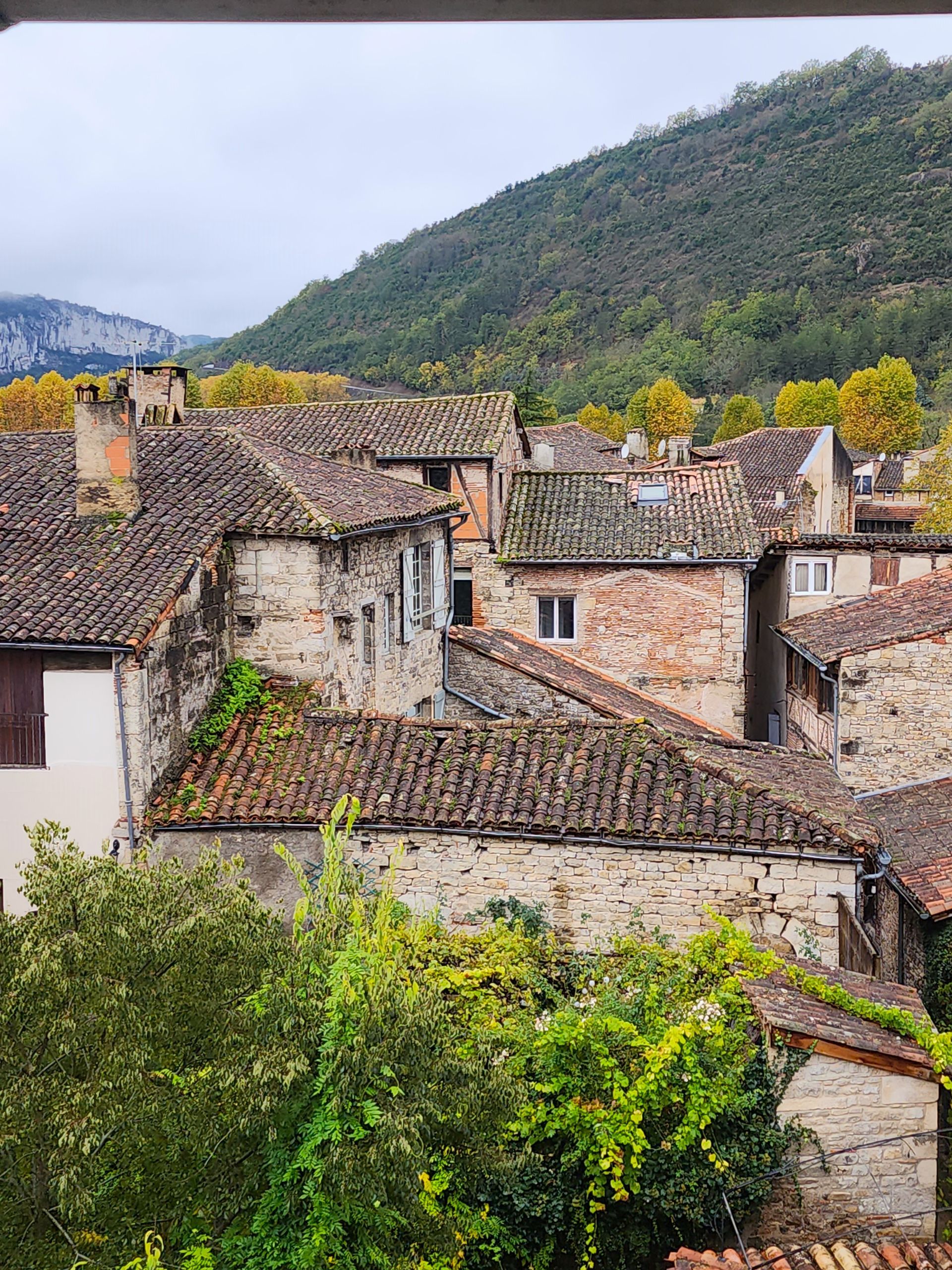 A view of a small town with a mountain in the background.