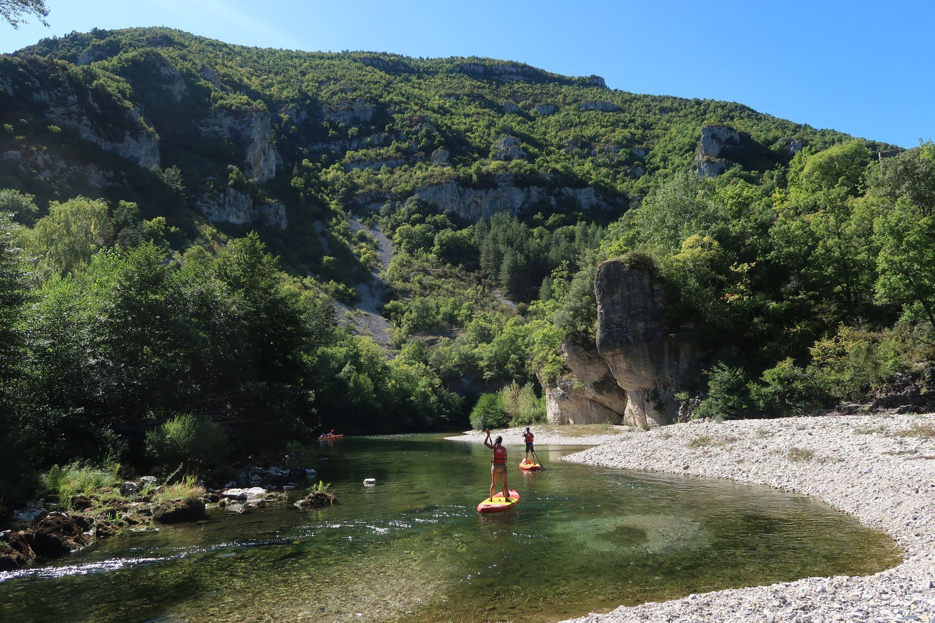 a group of people are standing on paddle boards in a river .