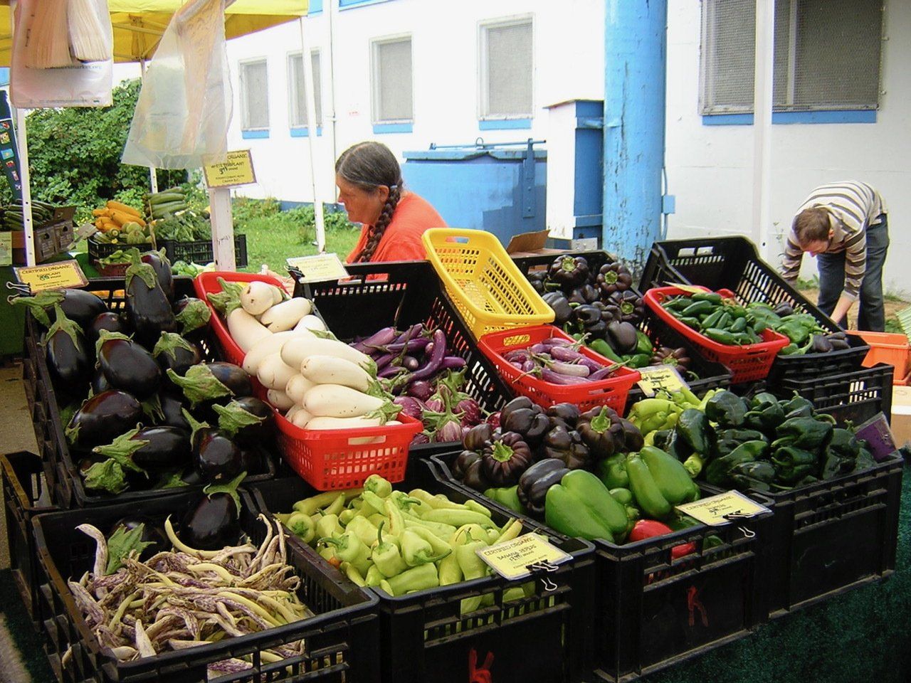 Farmers market display with Mary Forstbauer