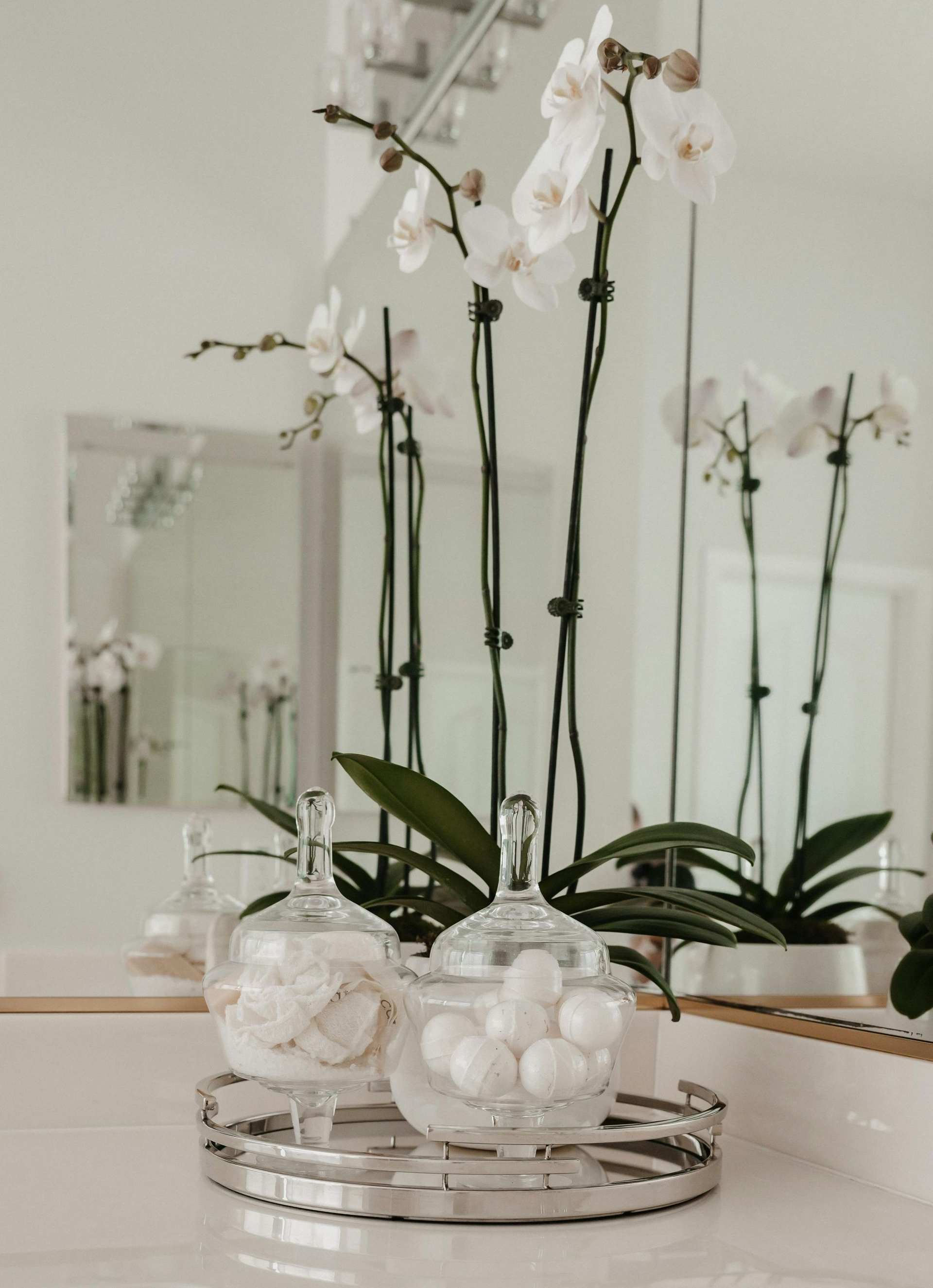 One-on-one medical weight loss planning