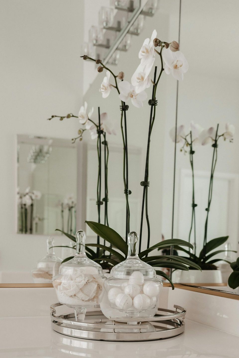 Treatment room with a white bed, decorative plants, and a bright light.