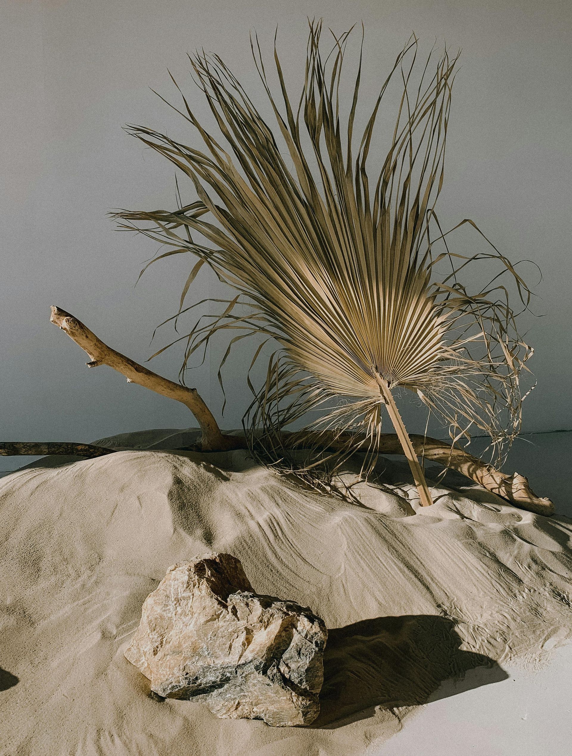 Med Spa Near Me Pensacola Gulf Breeze Santa Rosa 30a