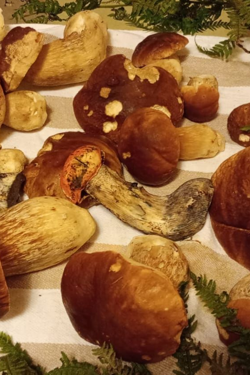 Piatto bianco con pesce, patate, pomodori, prezzemolo e olio d'oliva.