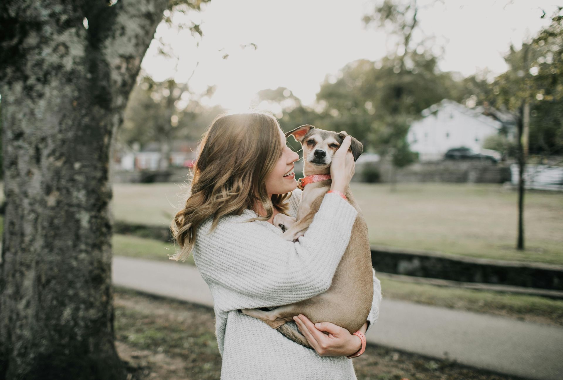 Woman holding a tan dog outdoors near a tree and road