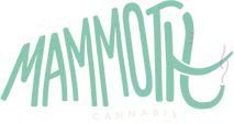 Mammoth Cannabis logo in teal script.