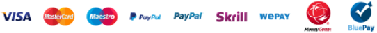 Logos for Visa, Mastercard, Maestro, Paypal, Skrill, Webx, Alipay, and WeChat Pay.