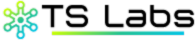 Logo for TS Labs: Snowflake-like graphic with