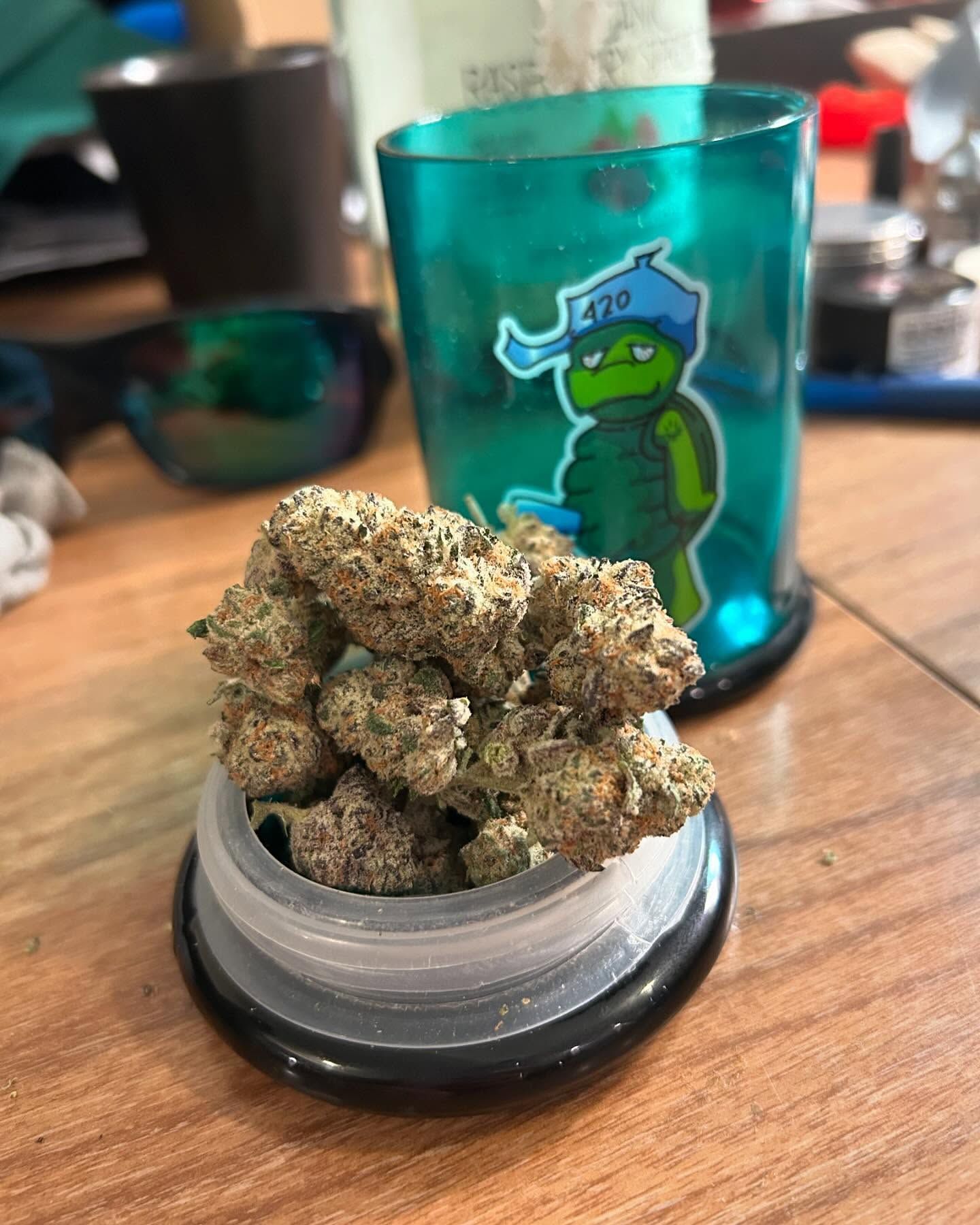 Cannabis buds on a jar lid, with a green turtle-themed cup in the background.