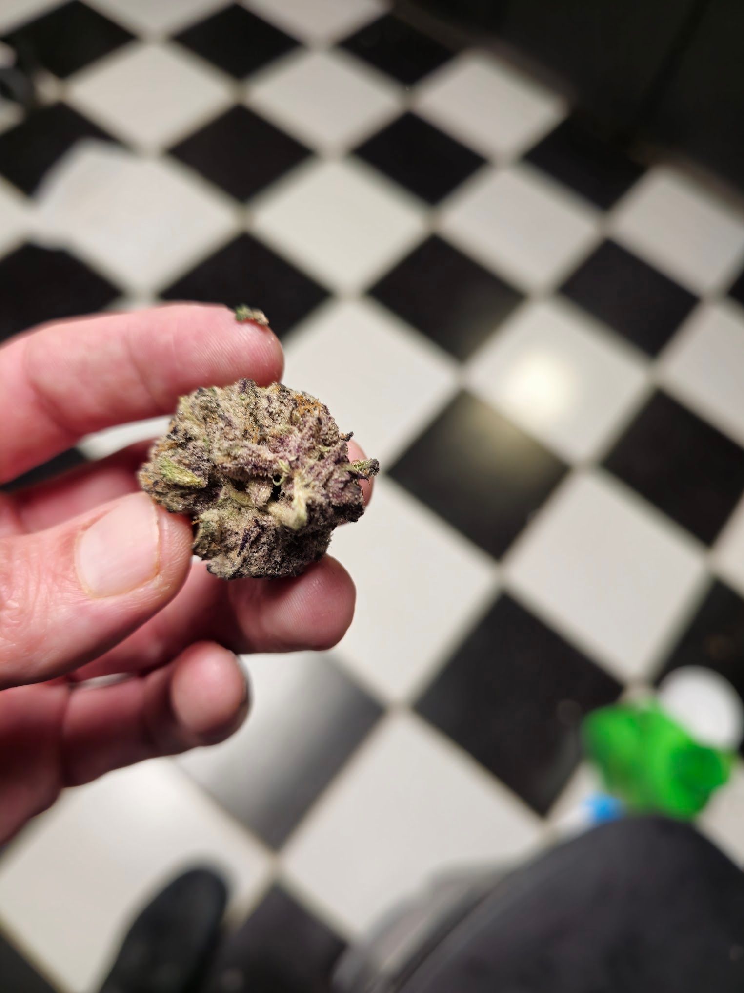 A hand holding a bud of cannabis against a black and white tiled floor.