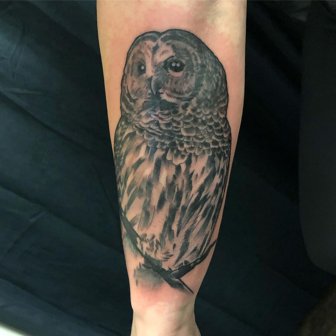 Owl Tattoo by Trevor Pelletier at Black Gold Tattoo Co in Edmonton Alberta Canada