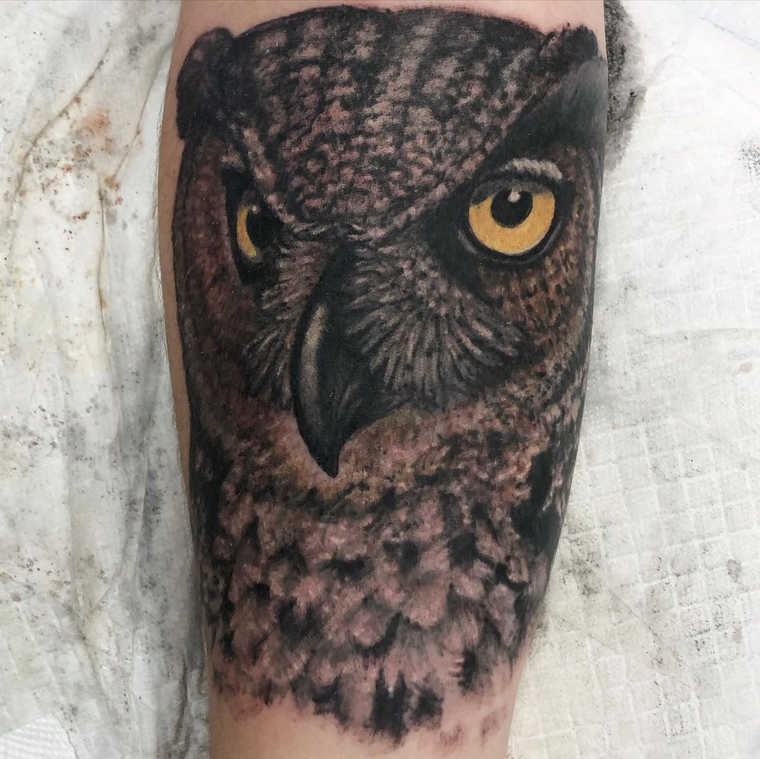 Owl Tattoo by Steve Hayes at Black Gold Tattoo Co in Edmonton Alberta Canada