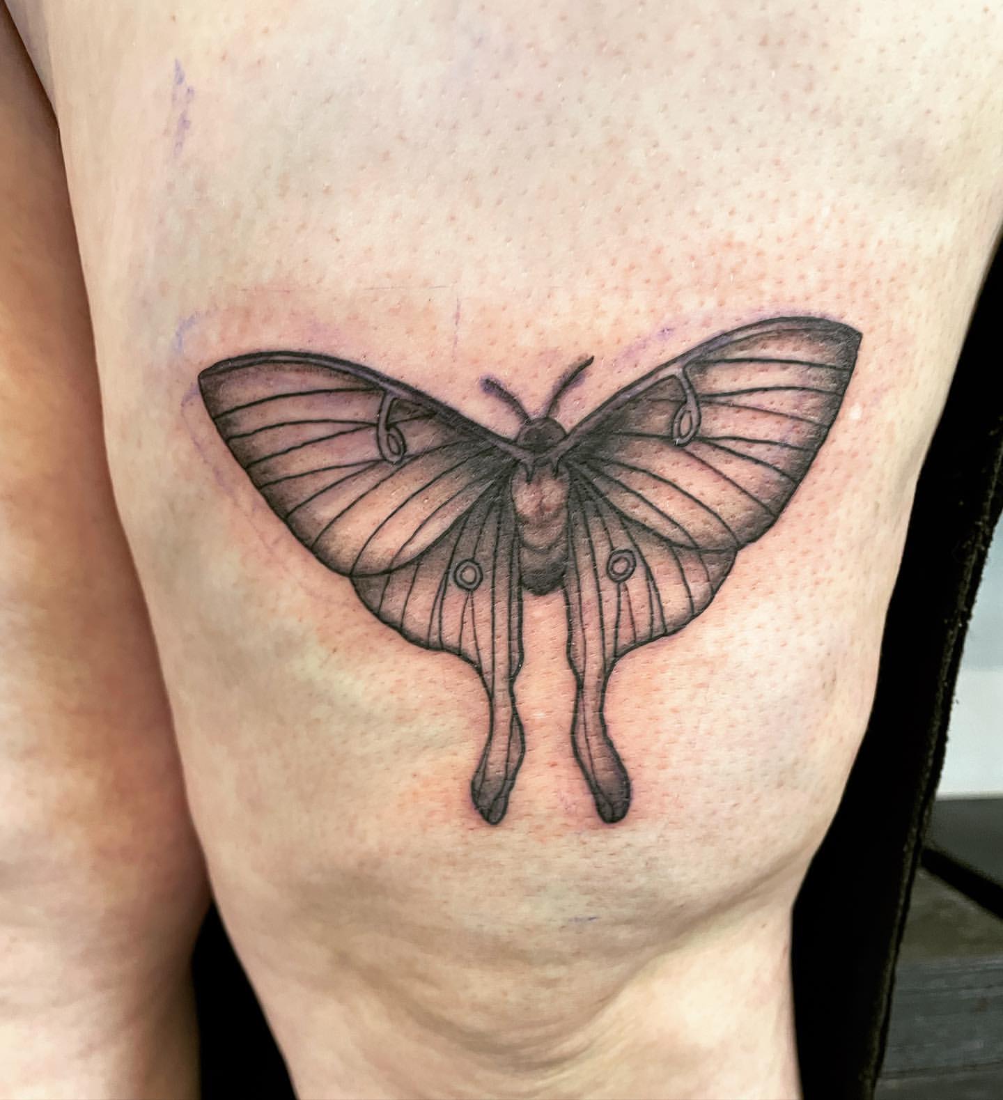 Moth Tattoo by Vinny Nguyen at Crimson Empire Tattoo in Edmonton Alberta Canada