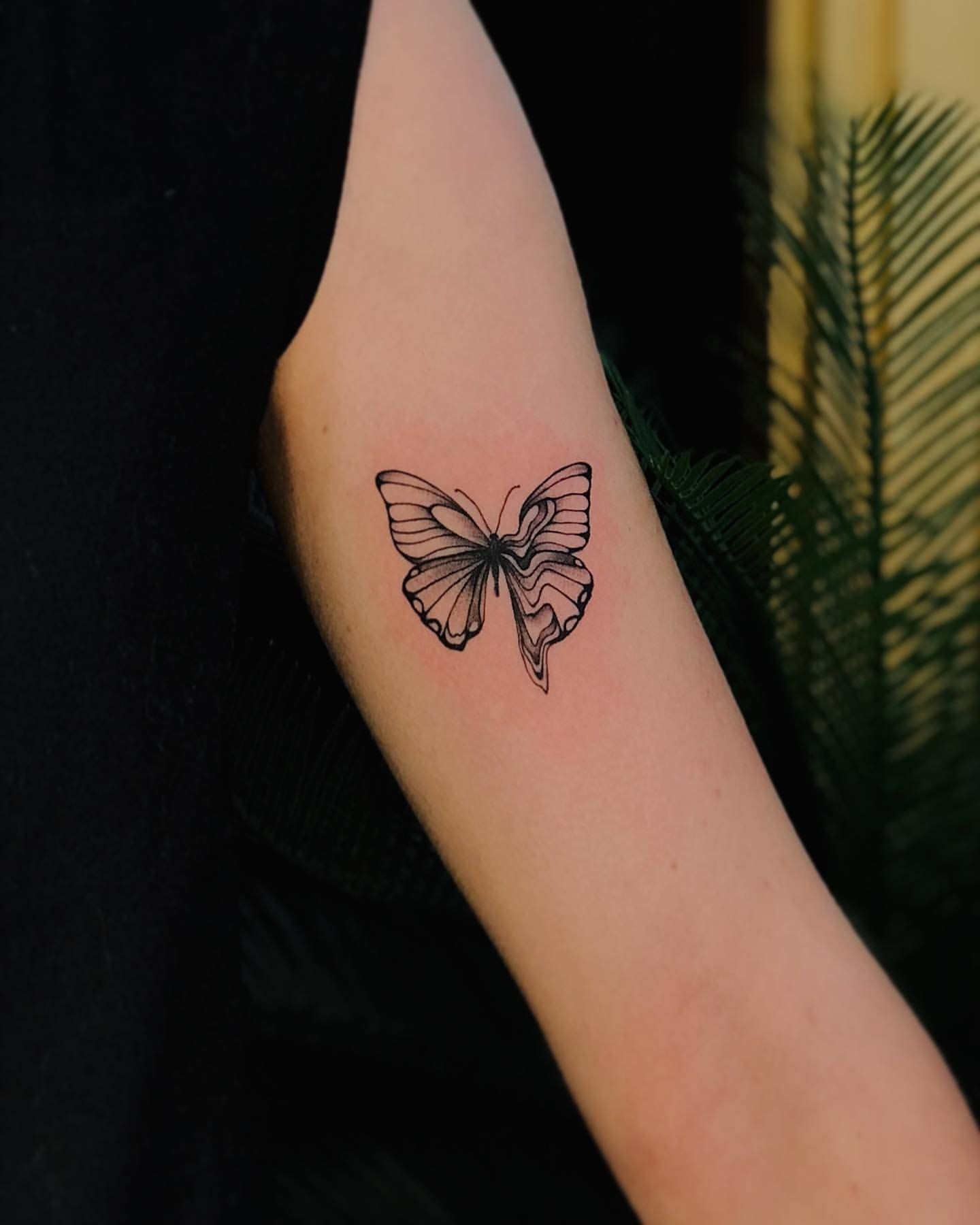 Butterfly Tattoo by Anastasiya at Silver Ghost Tattoo in Edmonton Alberta Canada