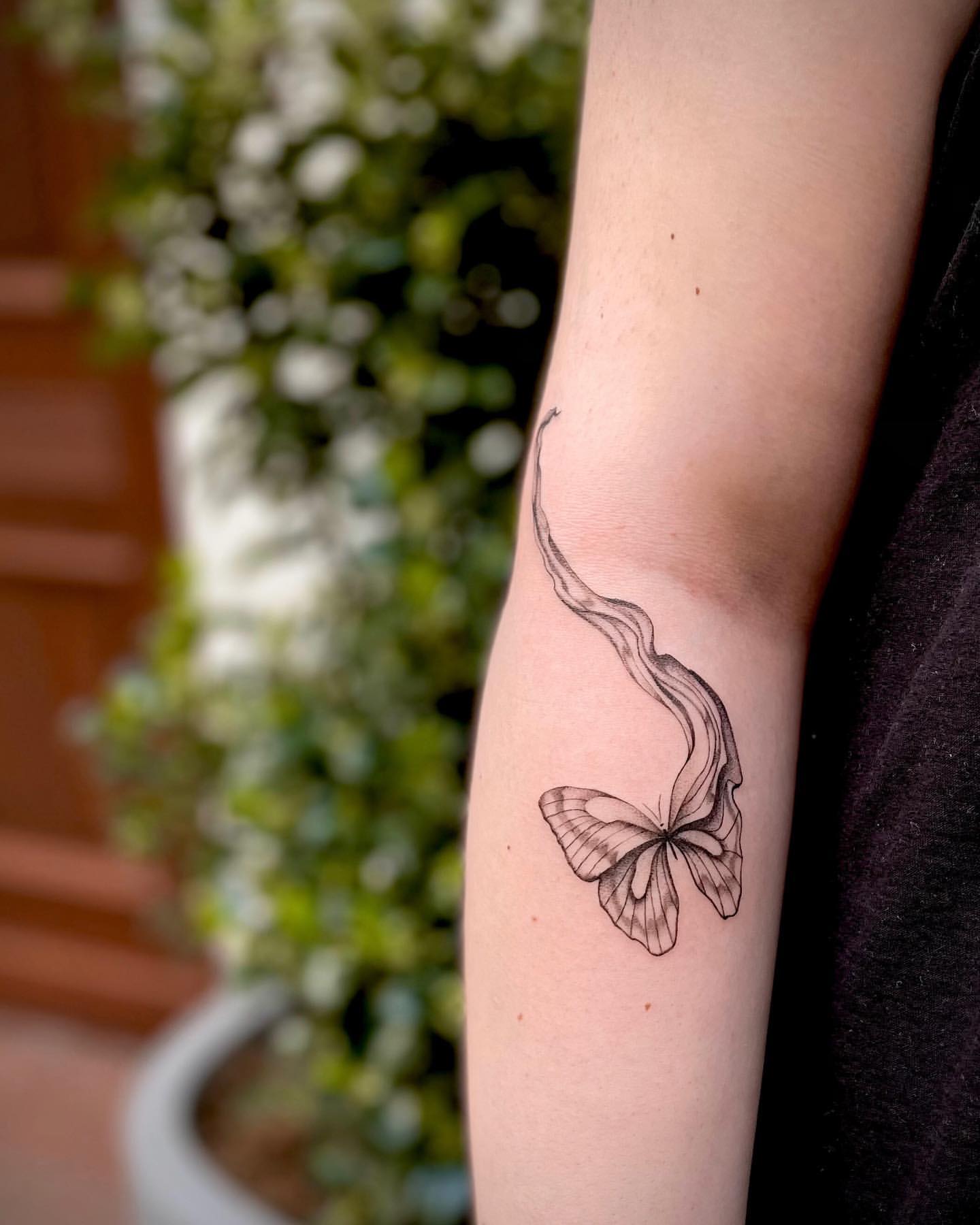 Butterfly Tattoo by Anastasiya at Silver Ghost Tattoo in Edmonton Alberta Canada