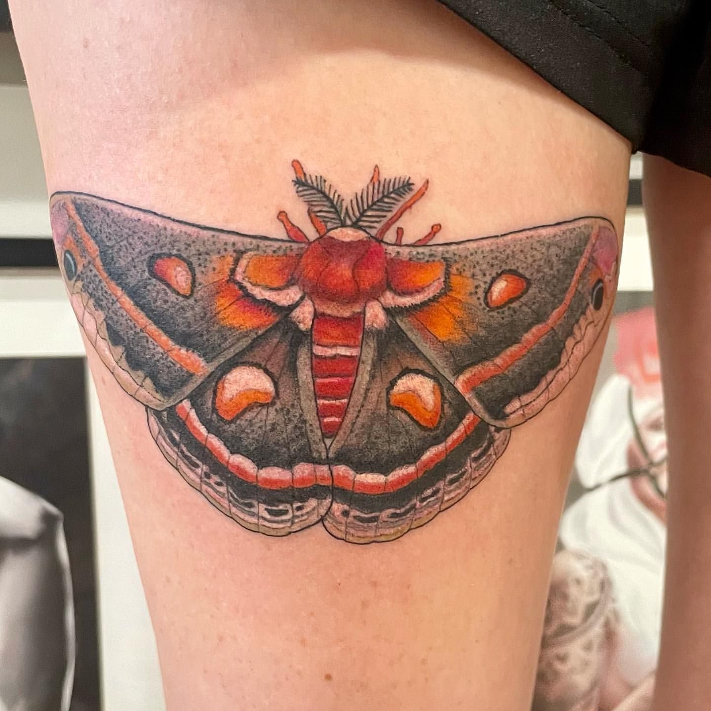 Moth Tattoo by Jess Alther at Black Gold Tattoo Co in Edmonton Alberta Canada
