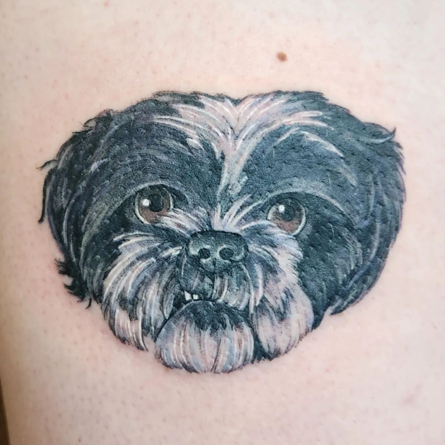 Dog Portrait Tattoo by Sheila Anderson at Crimson Empire Tattoo in Edmonton Alberta Canada