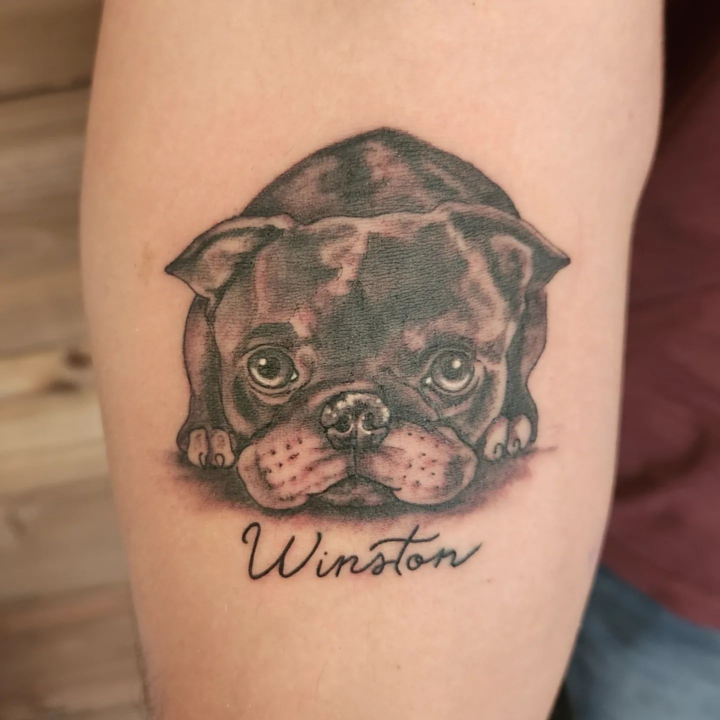 Dog Portrait Tattoo by Sheila Anderson at Crimson Empire Tattoo in Edmonton Alberta Canada