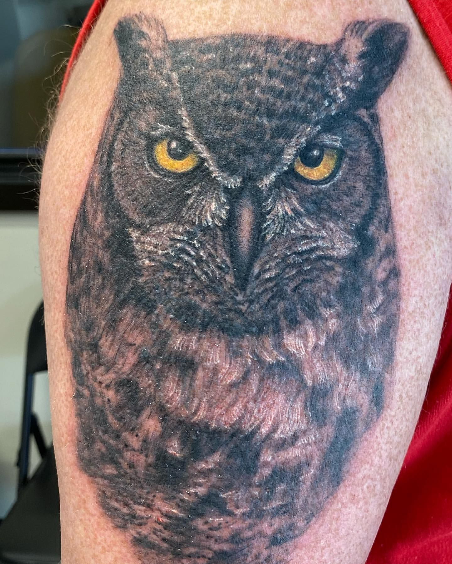 Owl Tattoo by Steve Hayes at Black Gold Tattoo Co in Edmonton Alberta Canada