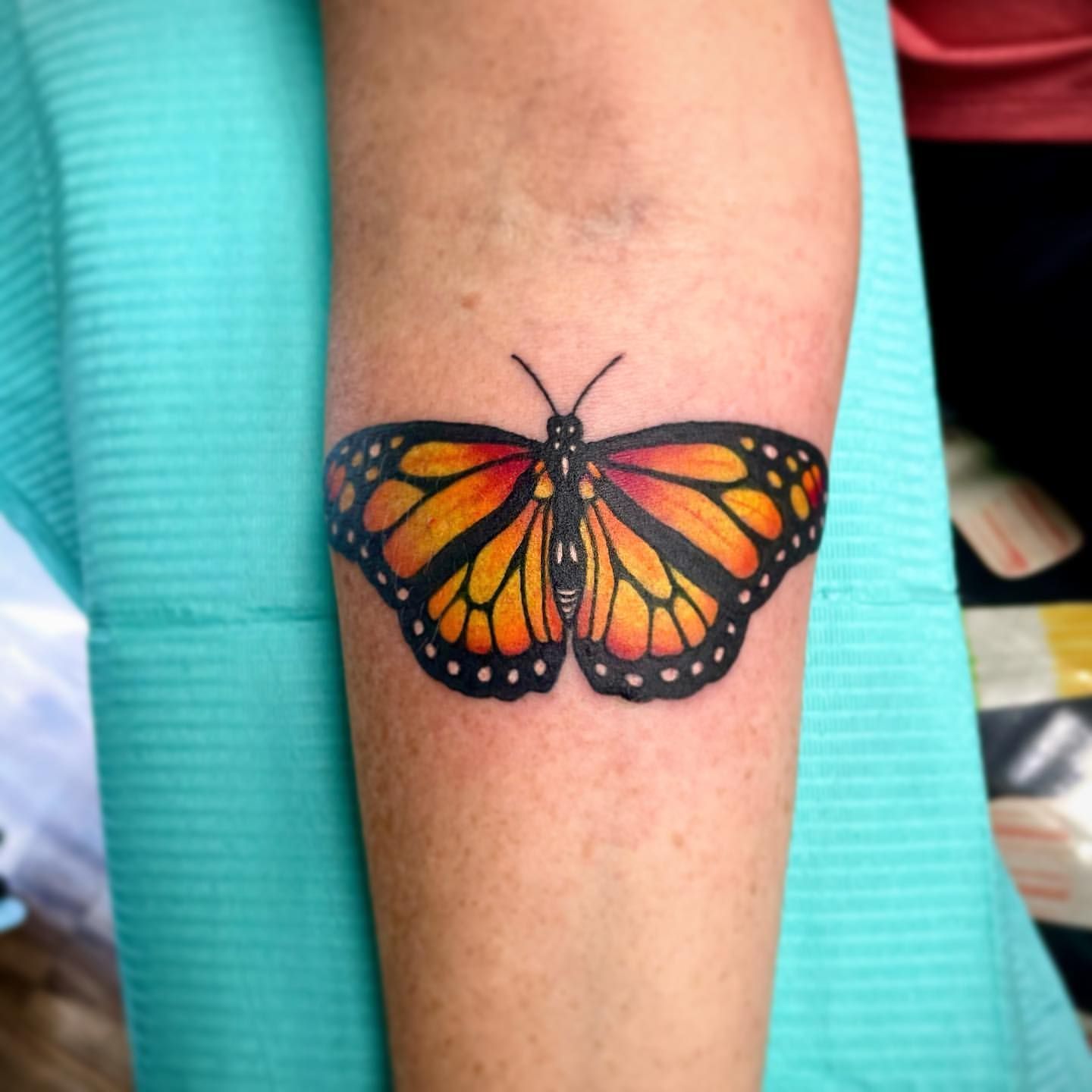 Monarch Butterfly Tattoo by Jess Alther at Black Gold Tattoo Co in Edmonton Alberta Canada