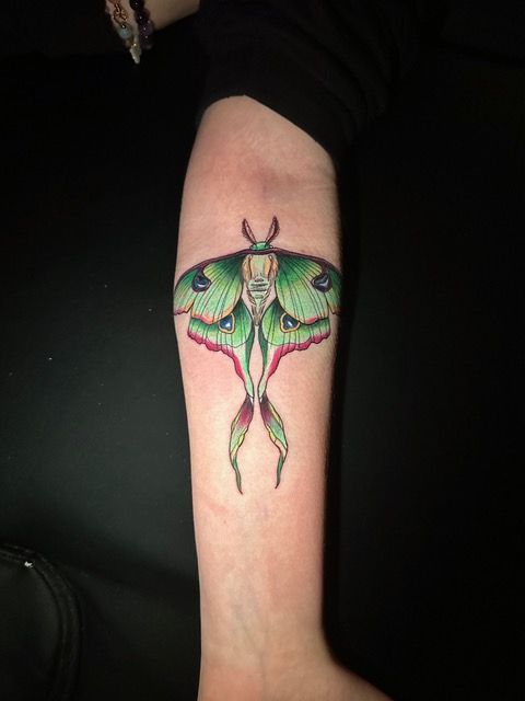 Moth Tattoo by Sly at Silver Ghost Tattoo in Edmonton Alberta Canada