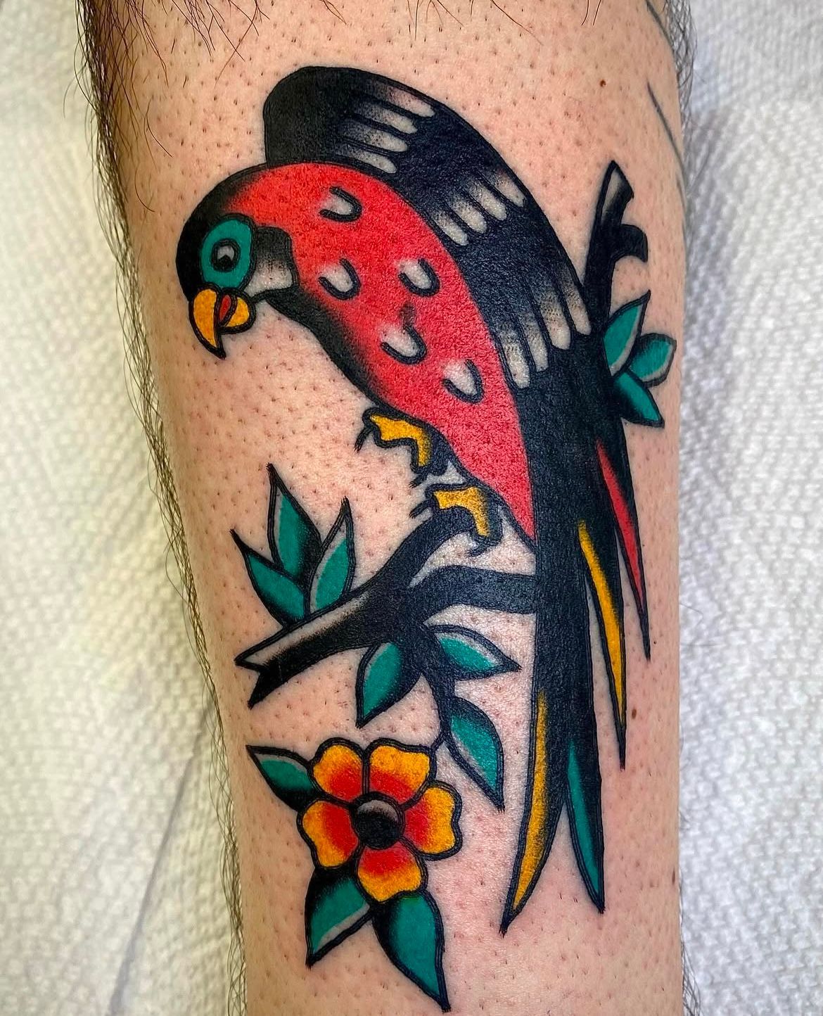 Parrot Tattoo by JD Pezderic at Silver Ghost Tattoo in Edmonton Alberta Canada