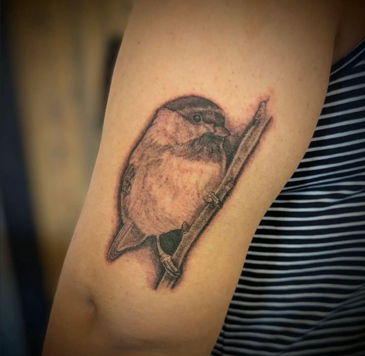 Chickadee Tattoo by Samantha Hnatiw at Crimson Empire Tattoo in Edmonton Alberta Canada