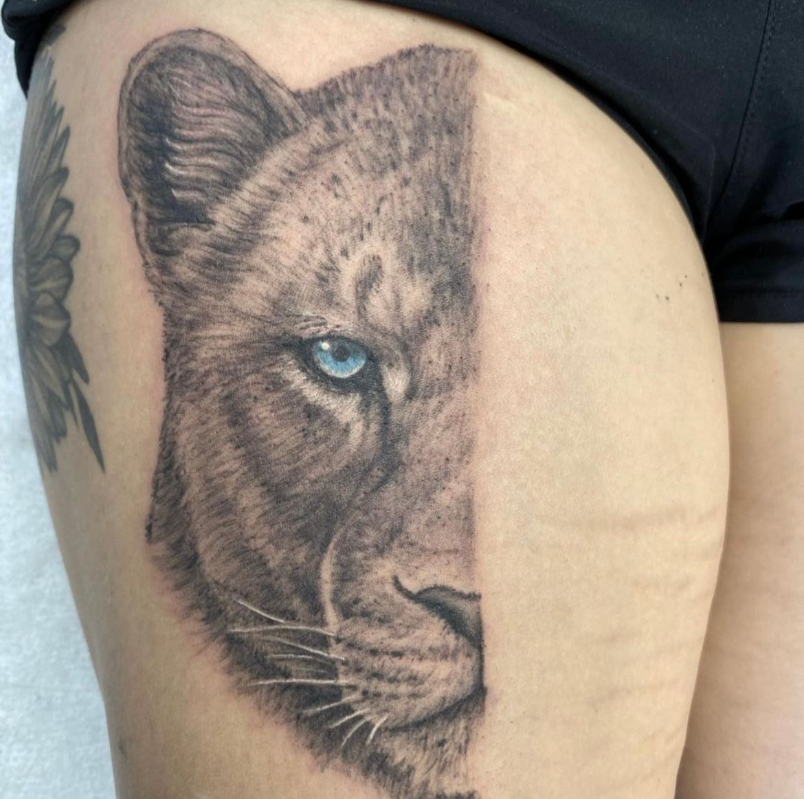 Lioness Tattoo by Steve Hayes at Black Gold Tattoo Co in Edmonton Alberta Canada