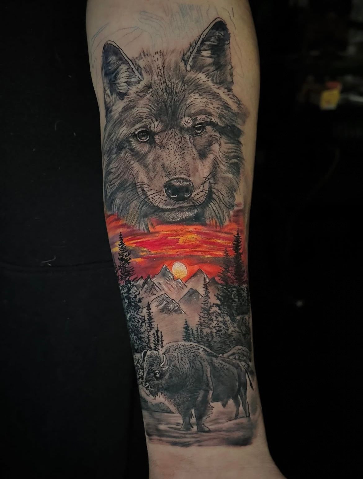 Wolf, Bison and Mountains Tattoo by Sly at Silver Ghost Tattoo in Edmonton Alberta Canada