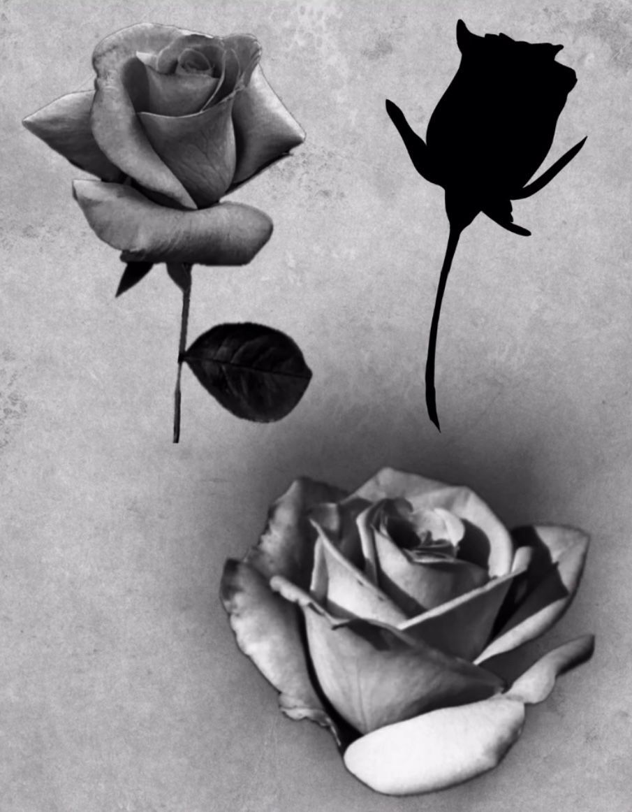 Roses Flash Designs by Keon Courtney at Crimson Empire Tattoo in Edmonton Alberta Canada