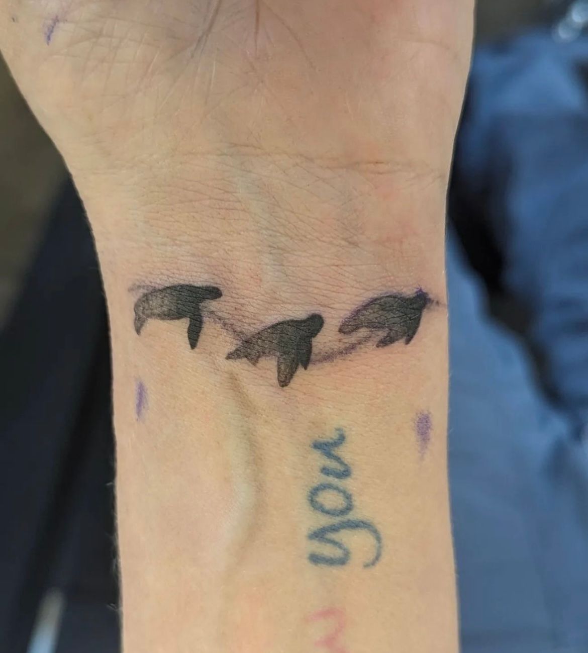 Turtles Tattoo by Samantha Hnatiw at Crimson Empire Tattoo in Edmonton Alberta Canada