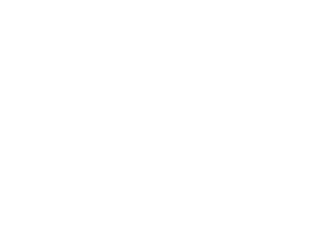Frisco Storage logo