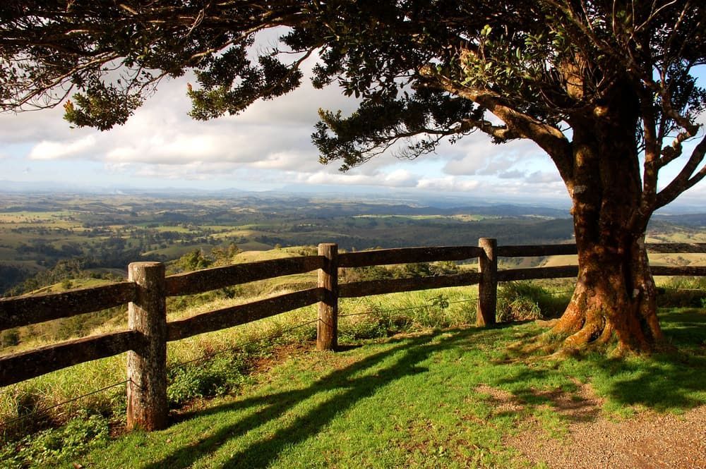 A Wooden Fence With A Tree In The Foreground — John Stark Fencing In Woombye, QLD
