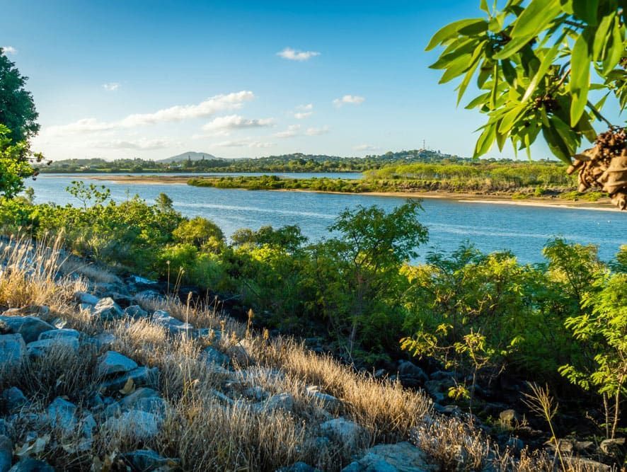 A River Surrounded By Trees And Rocks On A Sunny Day — John Stark Fencing In Rosemount, QLD