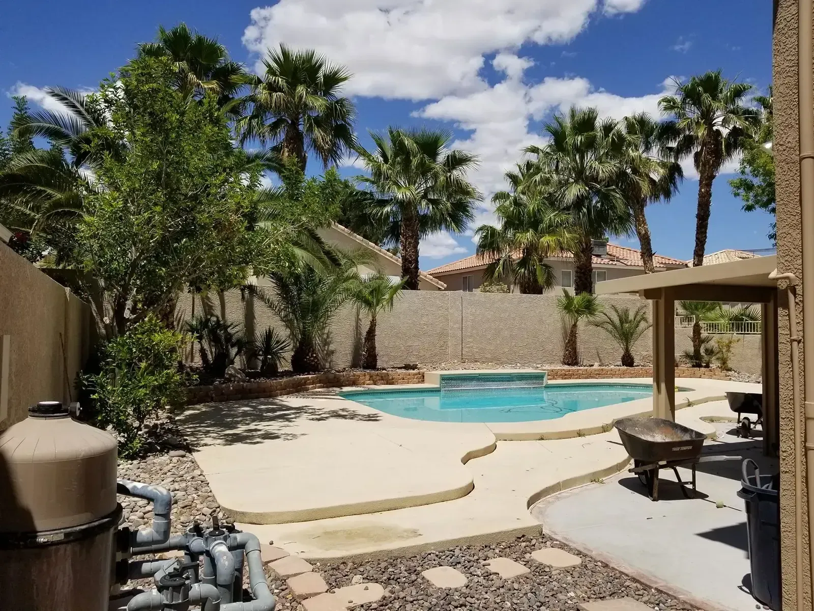 Swimming pool in backyard with palm trees under a blue sky.
