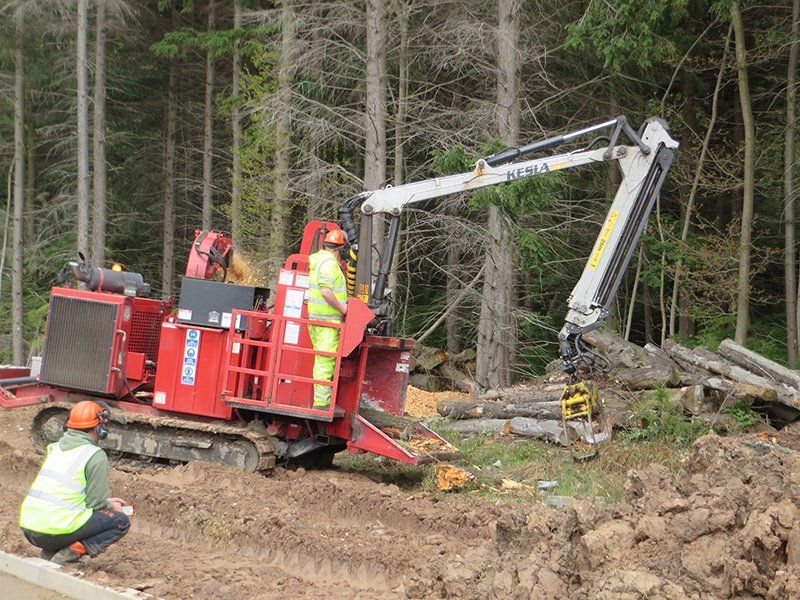heavy plant machinery in the forest