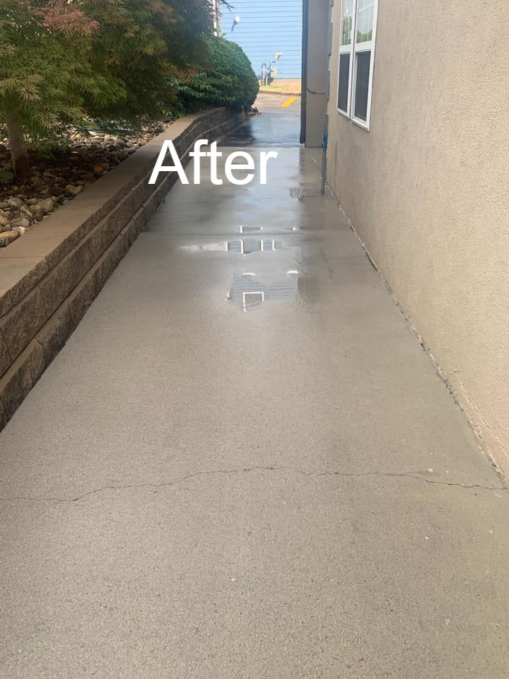 A picture of a concrete walkway after being cleaned.