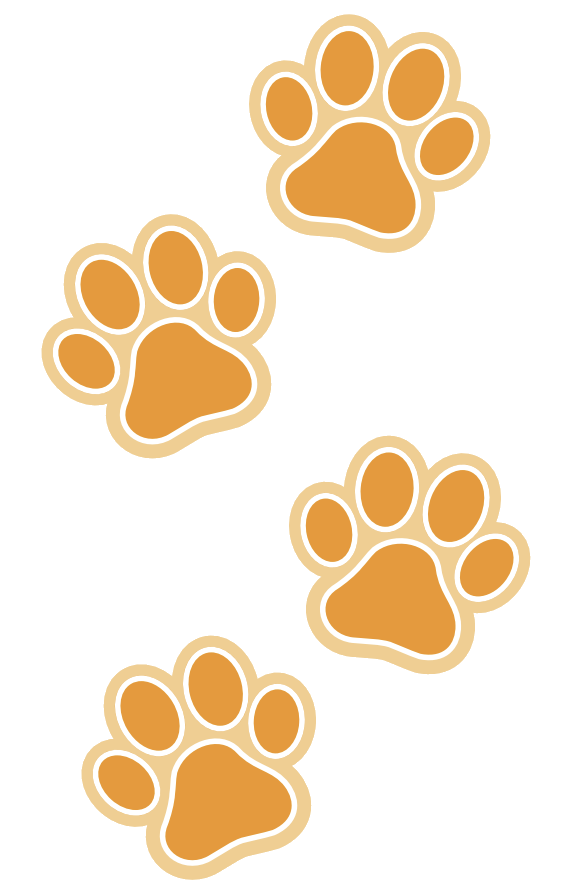 a set of four paw prints on a white background .