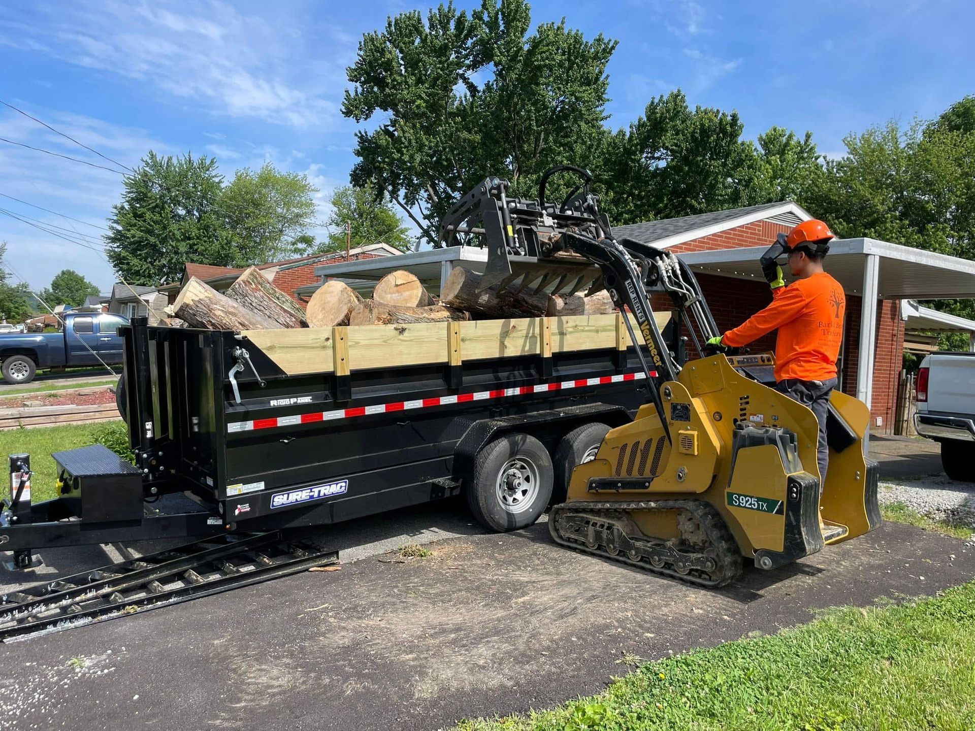 Tree Removal in Louisville, KY