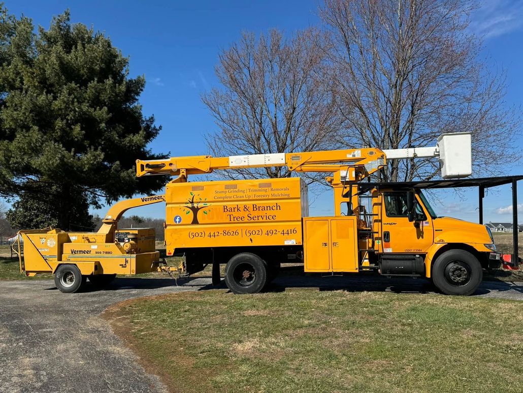 About Bark & Branch Tree Service, LLC