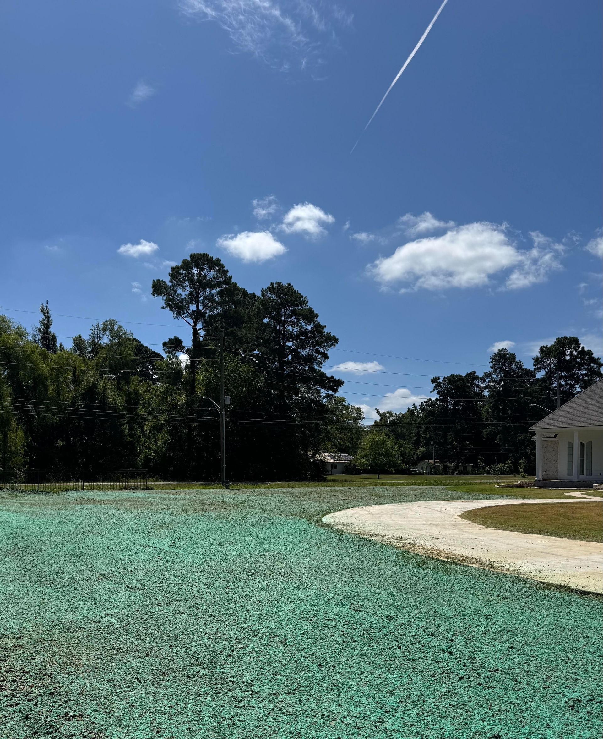 Green field, trees, and stadium lights under blue sky.