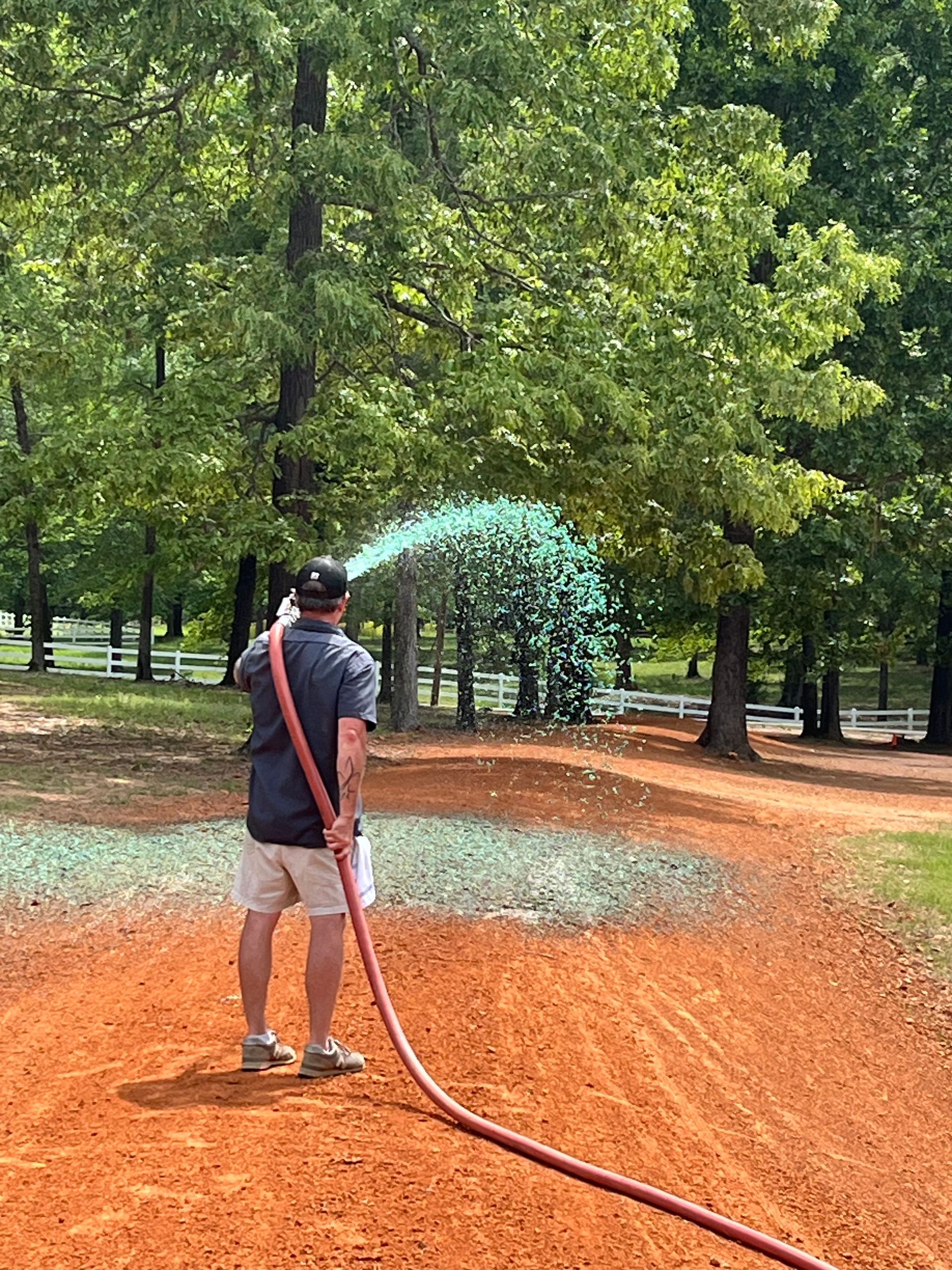 Grassy field with green sprayed area, trees, cars, and a blue sky.