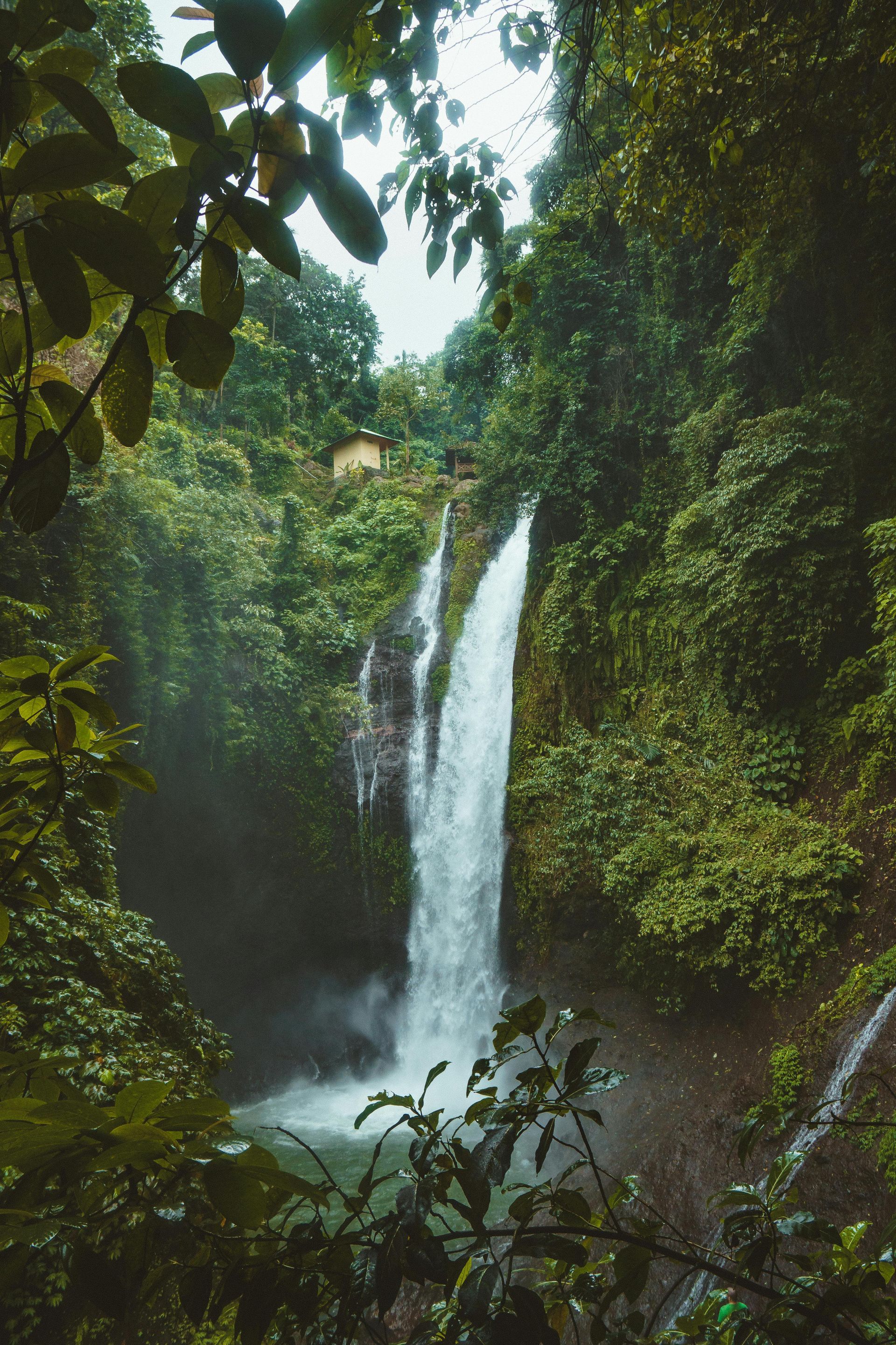 Waterfall cascading down rocks into a pool, surrounded by lush green foliage.