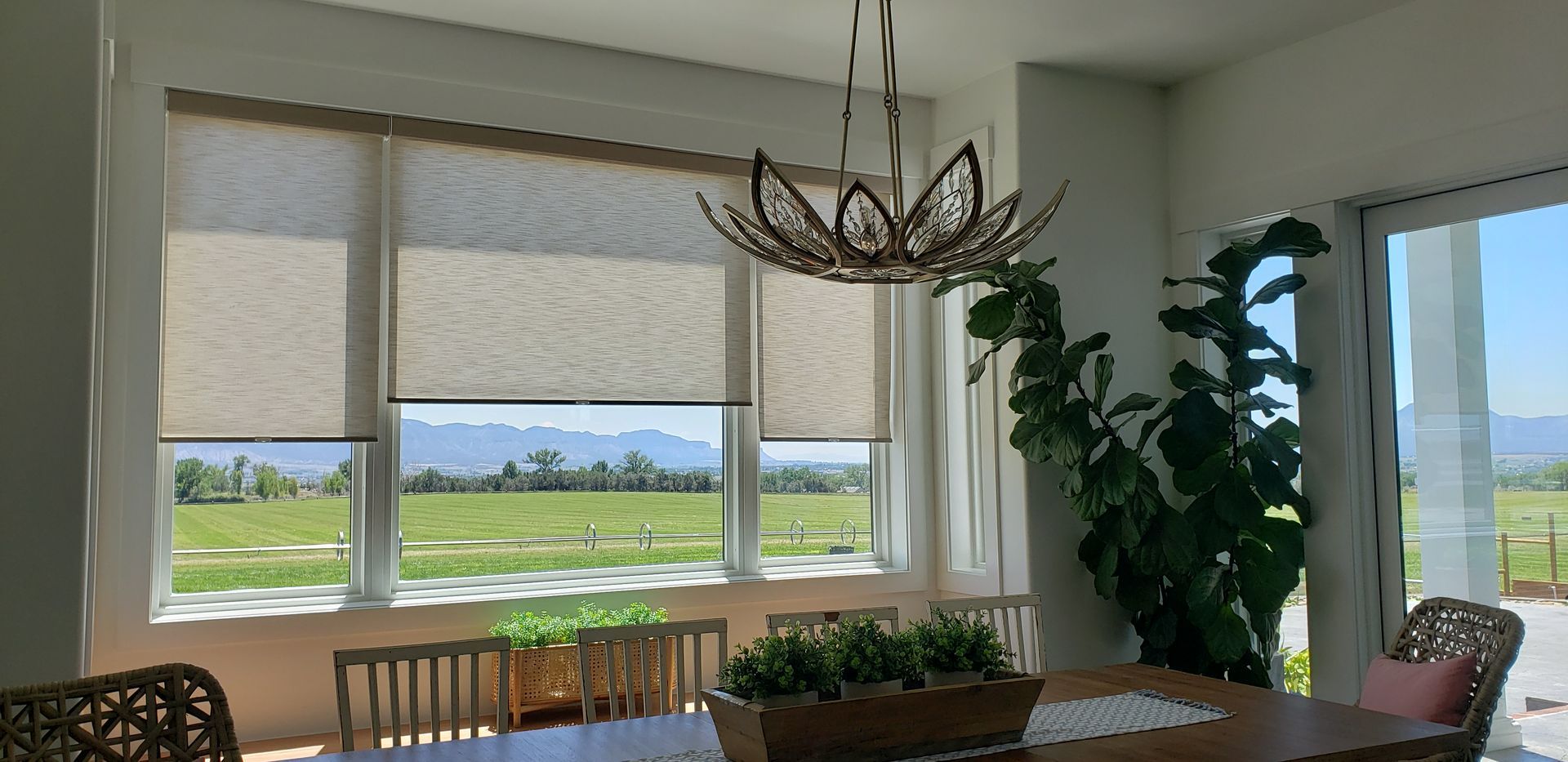 roller shades service