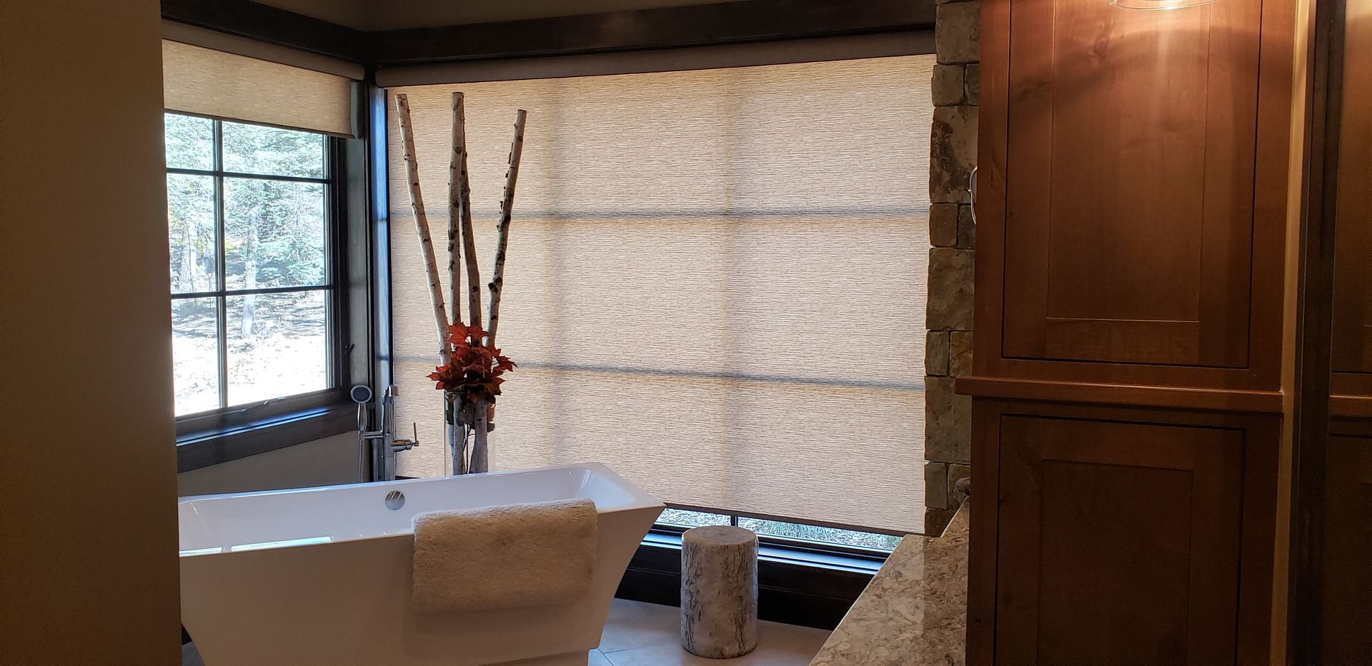 roller shades rolled down