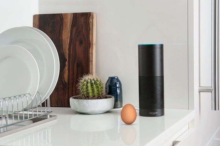 An amazon echo speaker is sitting on a kitchen counter next to an egg and a cactus.