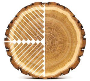 Our wooden blinds are cut from a quartered log