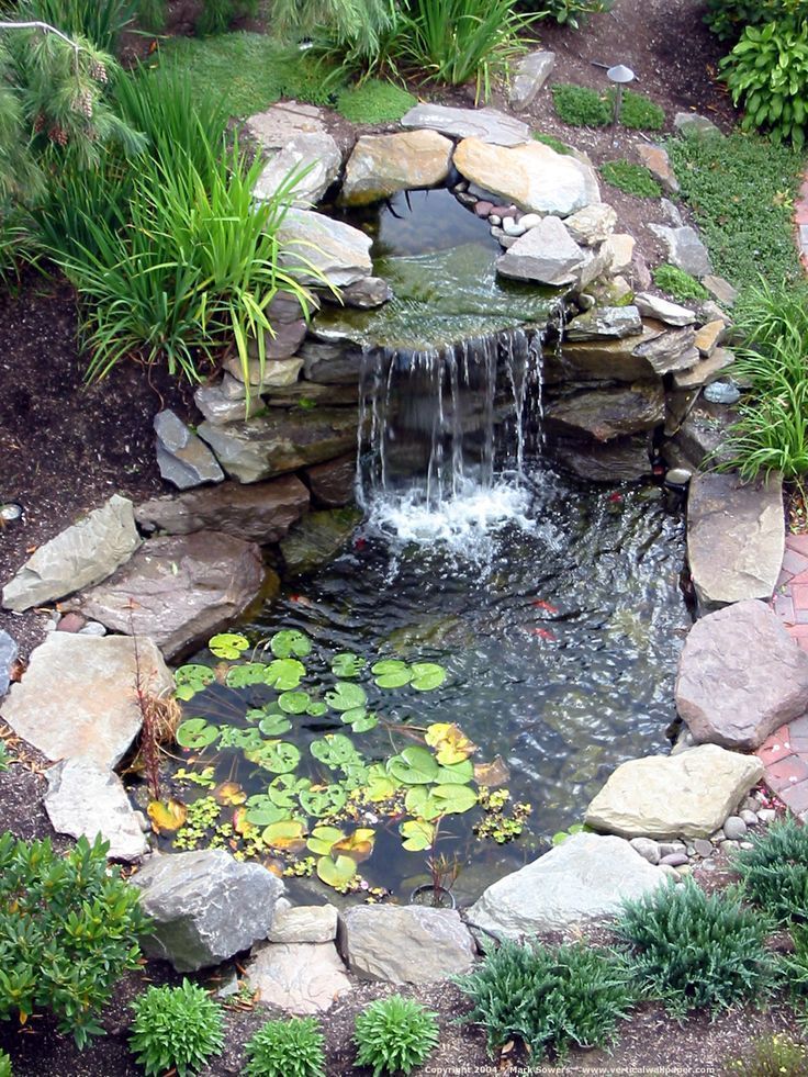 A small pond with a waterfall and lily pads in a garden.